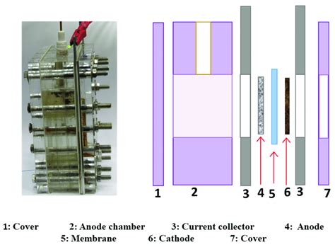 Schematic Diagram Showing The Structure Of The Microbial Fuel Cell Download Scientific Diagram