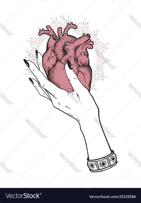 Hand Holding Human Heart Sketch