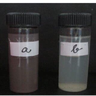 Biosynthesis Of Silver Nanoparticles Observation By Change Color To