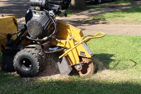 What Is Stump Grinding Texas Tree Surgeons