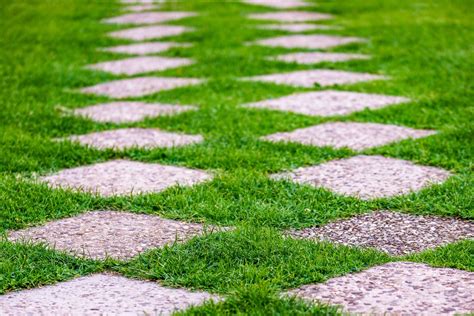 Growing Grass Between Pavers Is It Possible