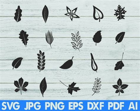 Feuilles Svg Feuille Svg Automne Svg Svg Fichiers Pour Svg Etsy France