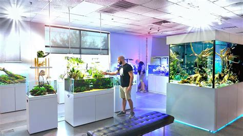 Fish Tanks Like You Ve Never Seen Before Insane Aquarium Store Tour