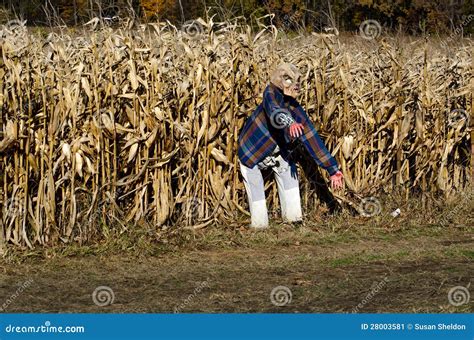 Scary Haunted Corn Field And Alien Stock Image - Image: 28003581