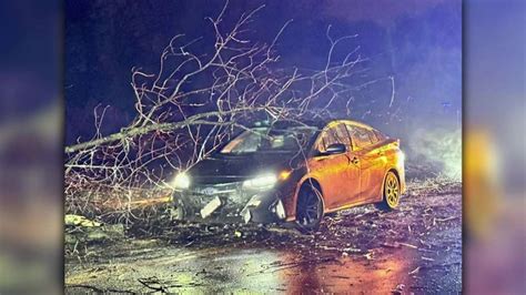 Major storm downs trees, power lines across Massachusetts - Boston News ...