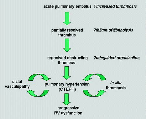 Pathophysiology Of Chronic Thromboembolic Pulmonary Hypertension Cteph