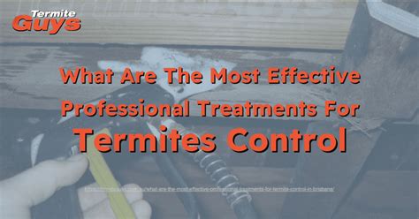 What Are The Most Effective Professional Treatments For Termite Control