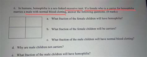 Solved In Humans Hemophilia Is A Sex Linked Recessive Chegg