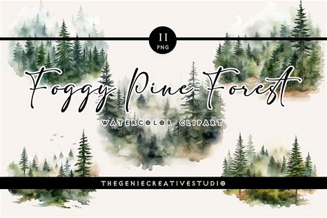 Watercolor Foggy Pine Forest PNG Clipart Graphic By