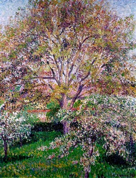 Wallnut And Apple Trees In Bloom At Eragny Painting Camille Pissarro