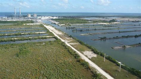 FPL Knew About Contamination From Turkey Point For Decades FL Keys News