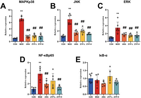 Relative Mrna Expression Of Mapk And Nf B Signalling Pathway A