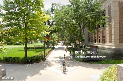 2267 University Of Minnesota Campus Stock Photos High Res Pictures