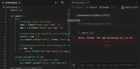 How To Use The Input And Output Functions In Python