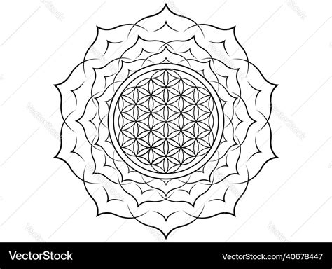 Flower Of Life Yantra Mandala In The Lotus Vector Image