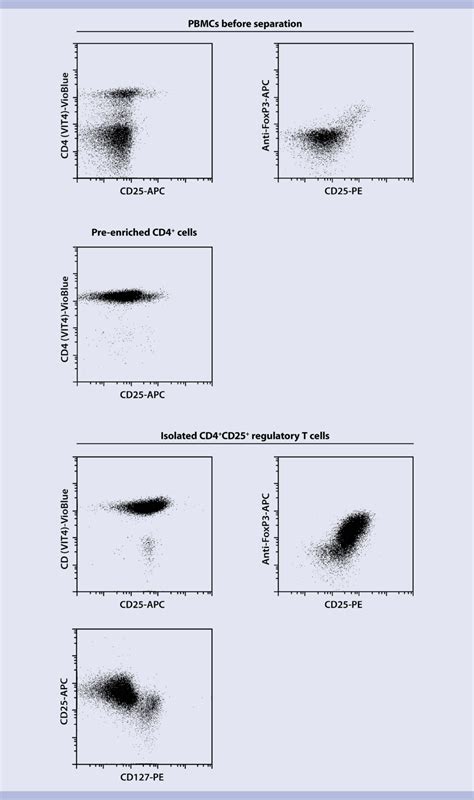 Regulatory T Cells Human Miltenyi Biotec 日本