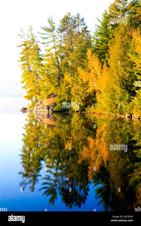 Northern Ontario Algonquin Park Fall Colors Paradise Outdoor Activity