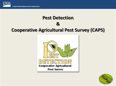 Pest Detection And Cooperative Agricultural Pest Survey Caps Ppt Download