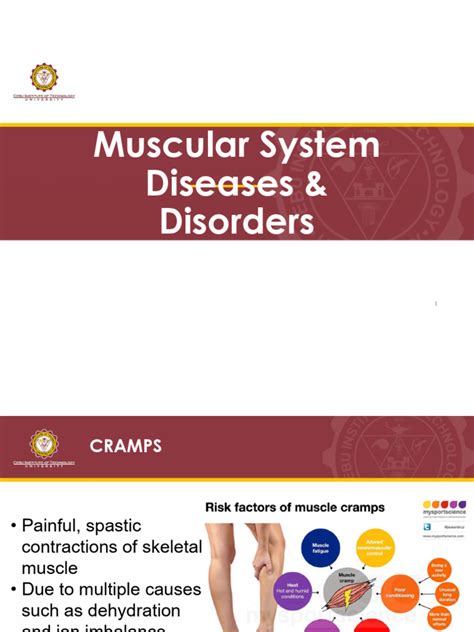 Representative Diseases and Disorders of The Muscular System | PDF | Botulinum Toxin | Skeletal ...