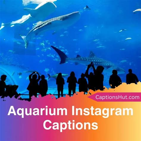 225 Adventure Instagram Captions With Emojis Copy Paste