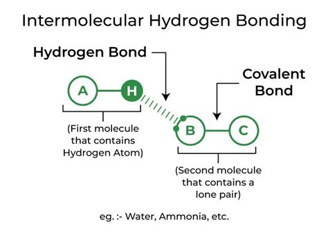 Intramolecular Hydrogen Bonding