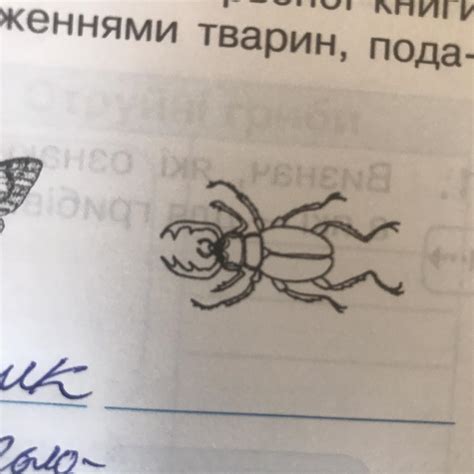 Як називається цей жук з червоної книги україни? - Школьные Знания.com
