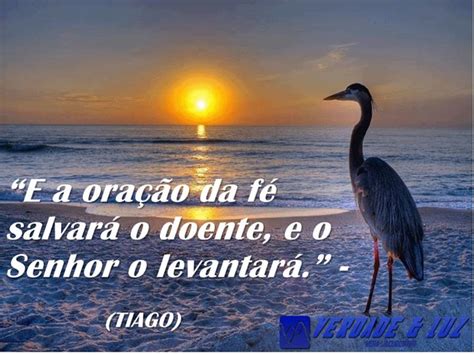 A Oração Da Fé Salvará O Doente - E a Oração da Fé Salvará o Doente e o Senhor o Levantará - Verdade Luz