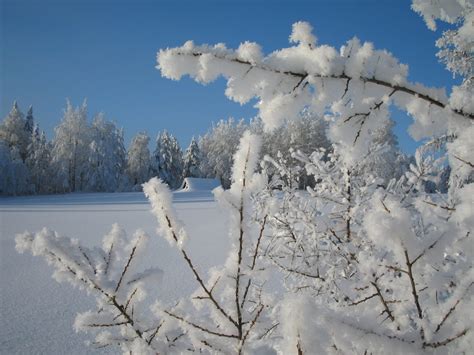 Kuhmo Culture Celebrates Winter - Arctic Lakeland