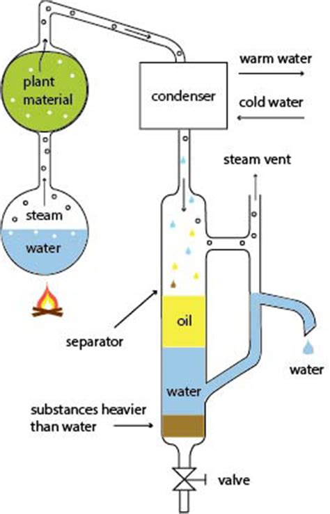 Essential Oil Distillation Diagram Diagram Net