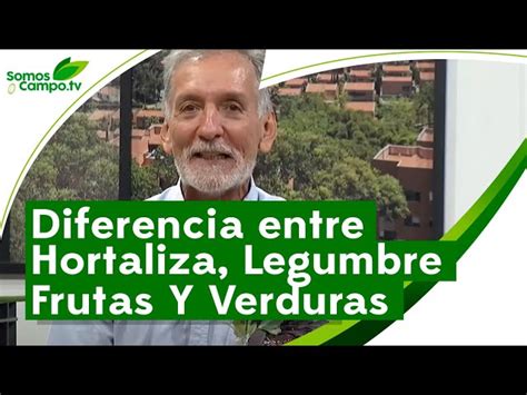 Verduras Vs Hortalizas ¿cuál Es La Diferencia