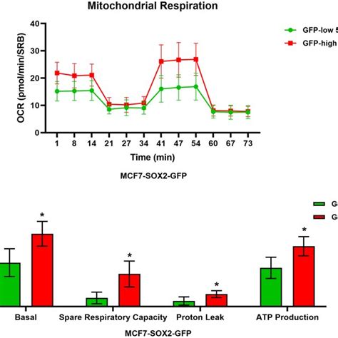 Mitochondrial Respiration Is Significantly Enhanced In SOX2 High MCF7