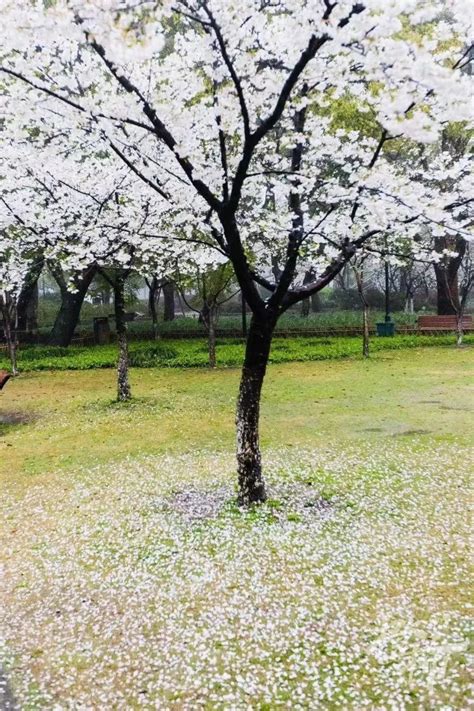 今天都在等一声“轰隆隆”！冷空气、沙尘、雨雪、强对流组团来袭腾讯新闻