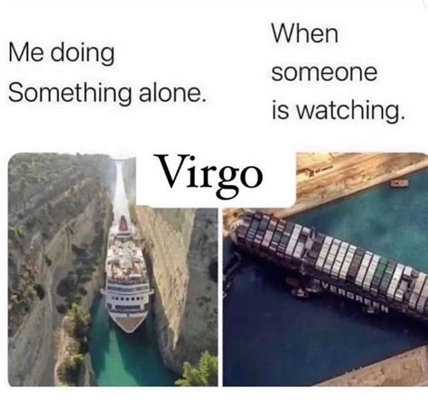 virgo memes on Instagram: "True 😂💯 . . . . . . . . . #virgo #virgogang ...