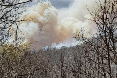 Brigadistas Combaten Incendio En La Sierra De Quila Ntr Guadalajara