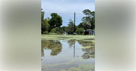 Several Ocala Parks Closed Due To Flooding And Storm Damage Ocala