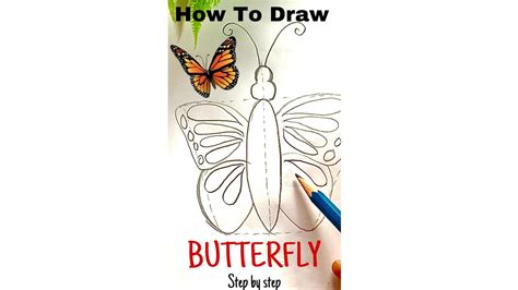 How To Draw Butterfly 🦋 Step By Step Drawing With Colouring