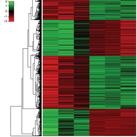 A Clustering Heat Map Euclidean Distance Correlation With Complete Download Scientific Diagram