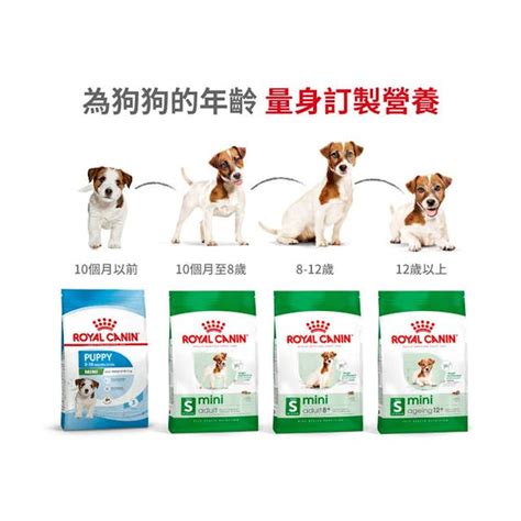 royal canin  mini ageing  kg pettington