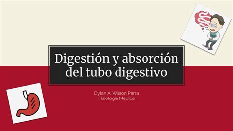 Fisiología uDocz