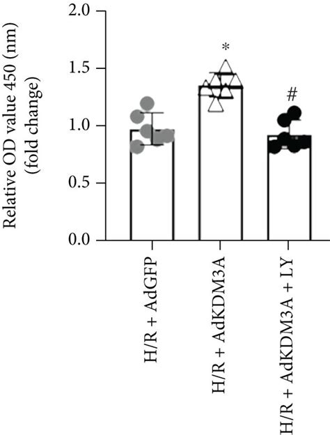 KDM3A Overexpression Ameliorated H R Induced CMEC Injury And