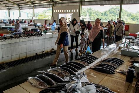 Potret Aktivitas Nelayan Di Pantai Sendang Biru Kabupaten Malang