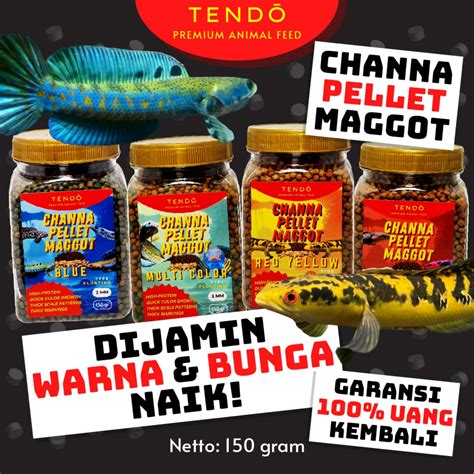 Jual Pakan Ikan Chana Pelet Channa Maggot Kering Makanan Ikan Channa