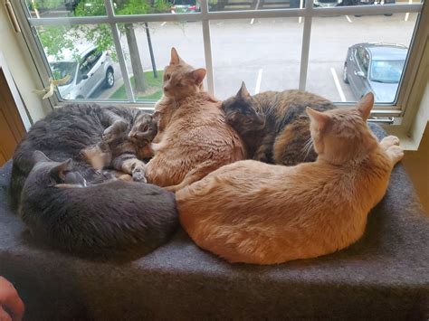 10000 Best Hot Images On Pholder Prequel Memes Wholesomegreentext And Antimeme