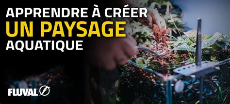 APPRENDRE À CRÉER UN PAYSAGE AQUATIQUE Fluval Aquatics Canada