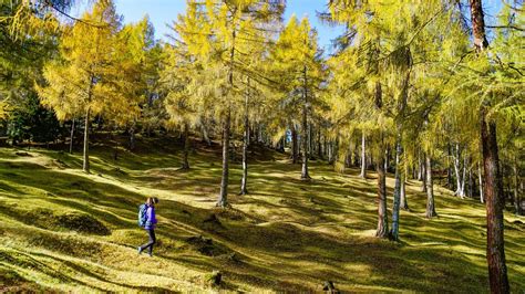 Hike To The M Hlberg Scharnitz