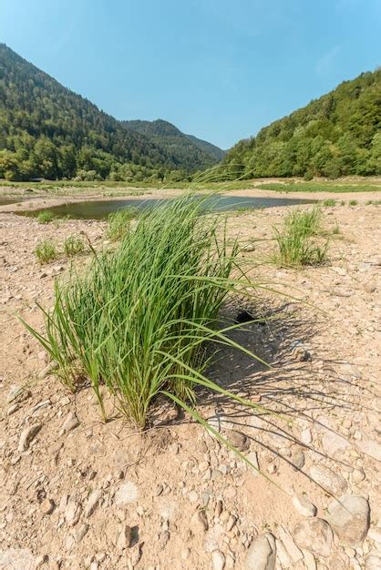 Premium Photo | Water level drops in mountain lake in summer