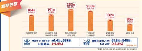 서울 개인파산 신청자 상당수 50대 이상·1인가구···10명 중 6명은 다중채무 네이트 뉴스