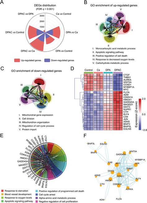 RNA Sequencing Of 143B Cells After Treatment Of Normal Saline As