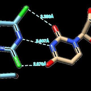 Binding Mode Analysis Of Compound 12 Left Toward Uracil Nucleic Acid