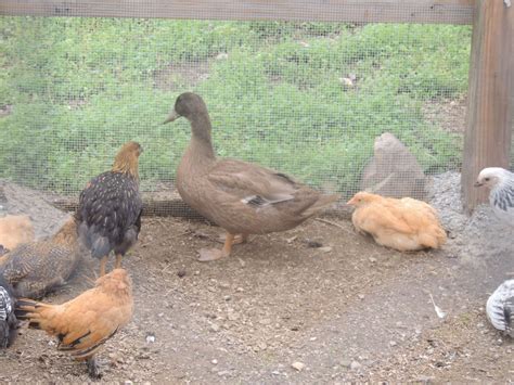 Pin By Cyndi On Vacation Hot Springs Day 6 Board 2 Hot Springs Spring Day Vacation